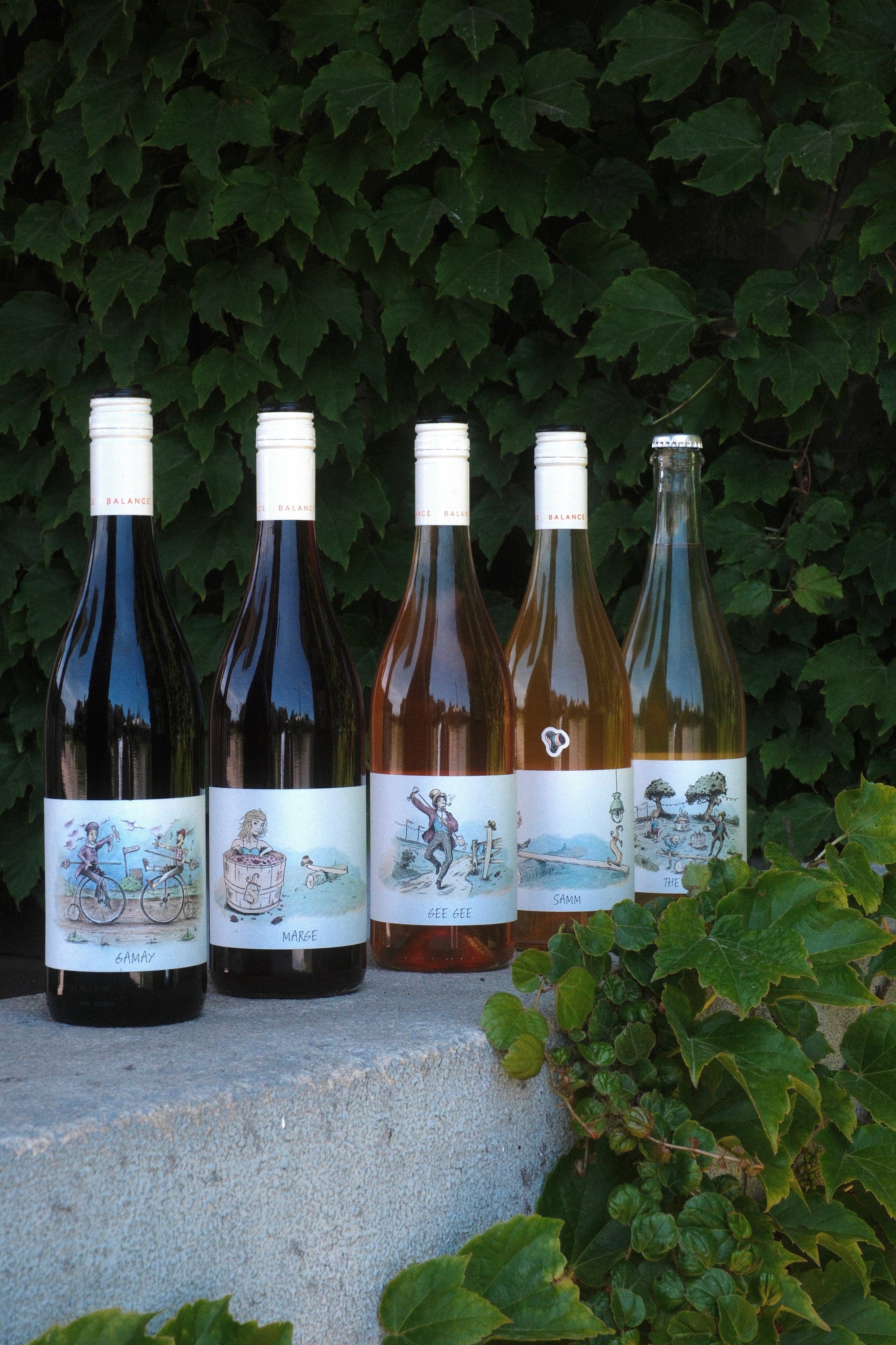 See Saw Wine