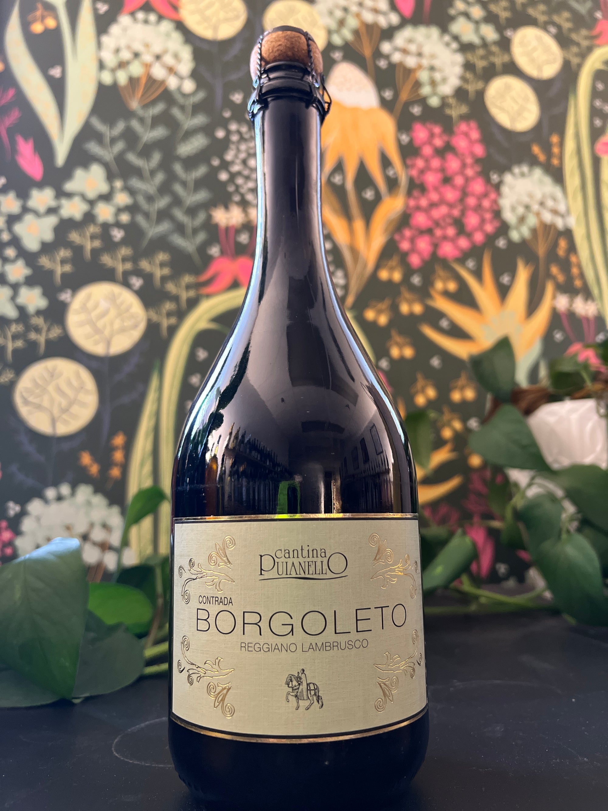 Puianello 'Contrada Borgoleto' Reggiano Lambrusco 2022