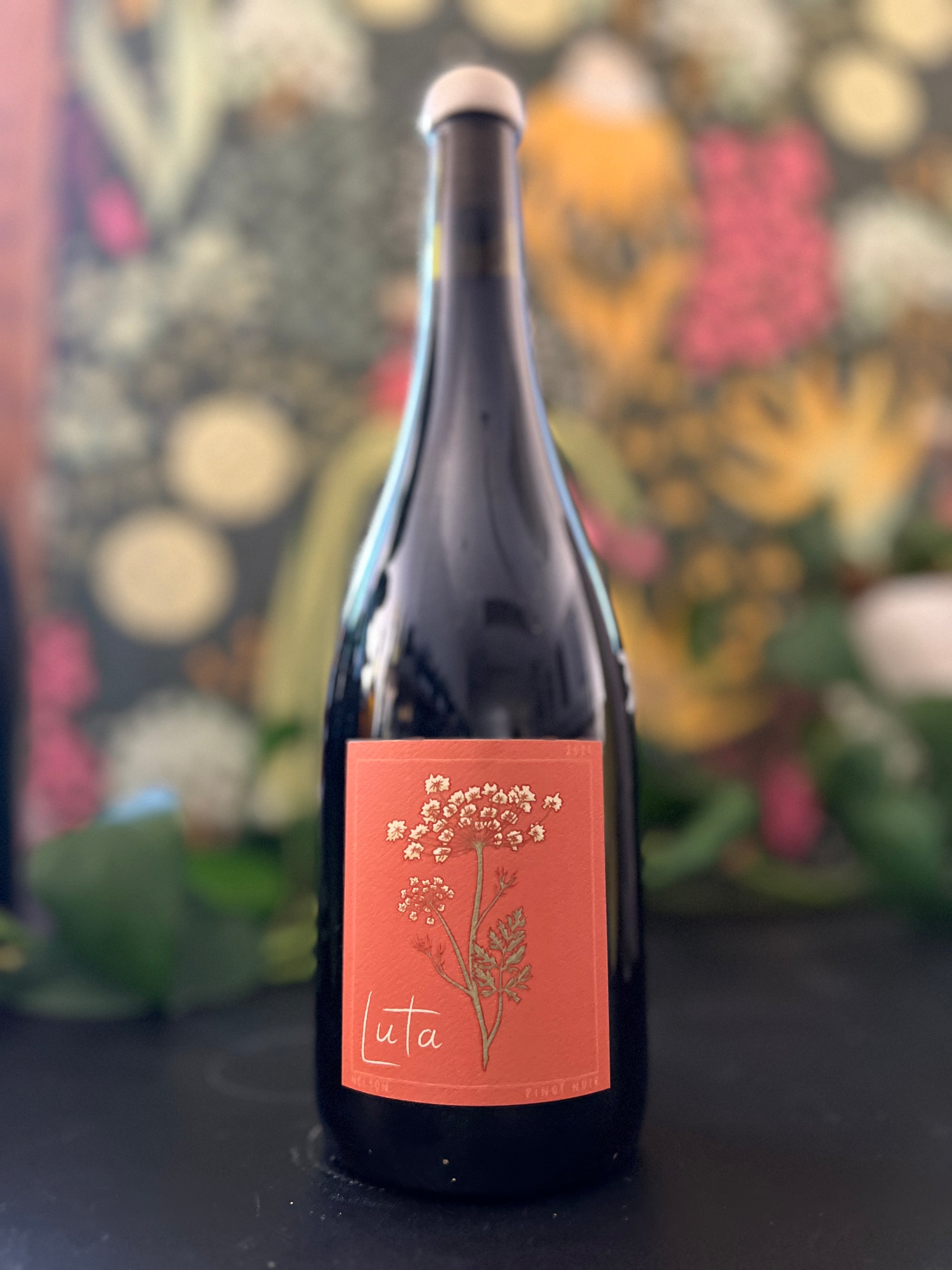 Luta 'Rising' Pinot Noir 2021