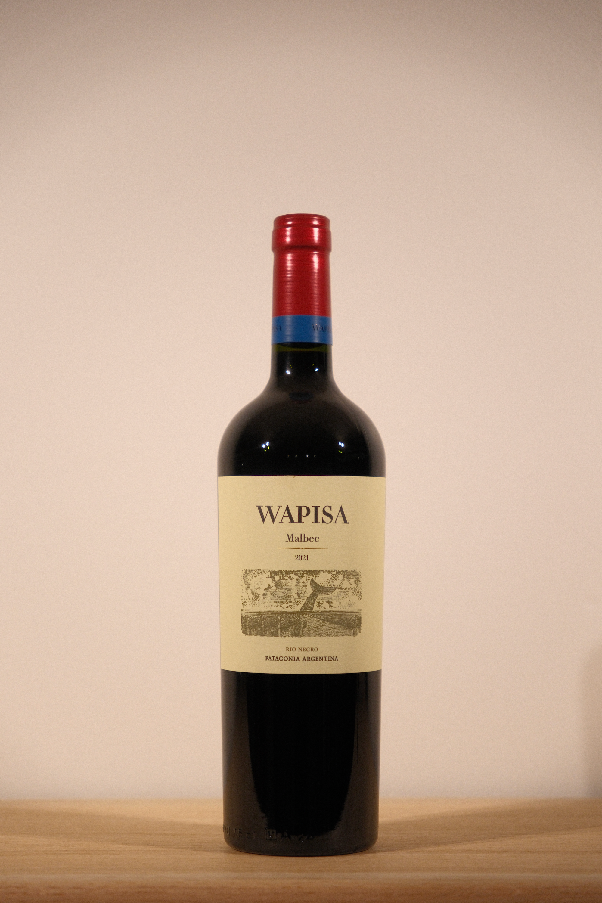 Wapisa Malbec 2021 (Copy)