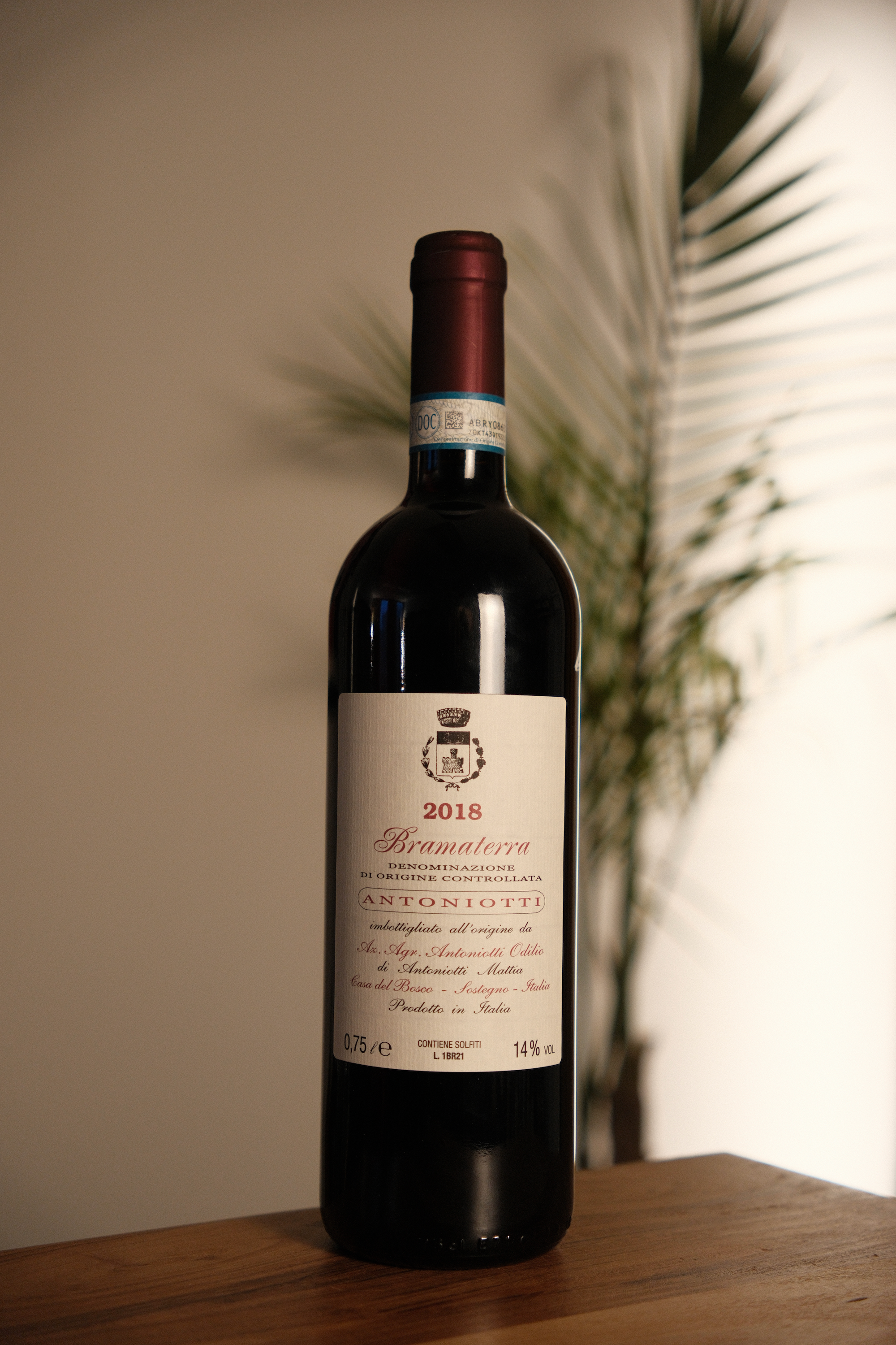 Antonio Odilio 'Bramaterra' 2018