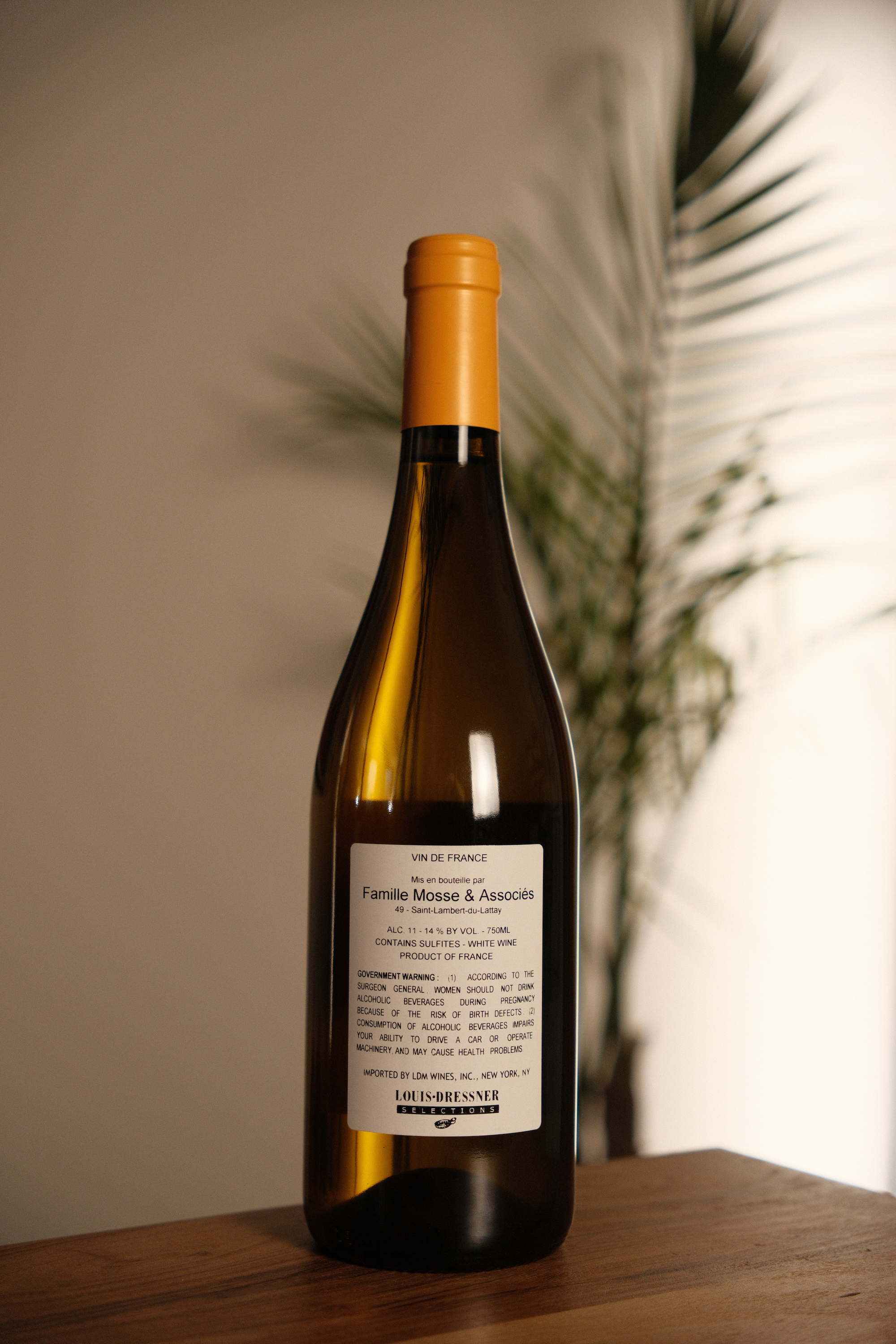 Agnès et René Mosse 'Magic of JuJu' 2023