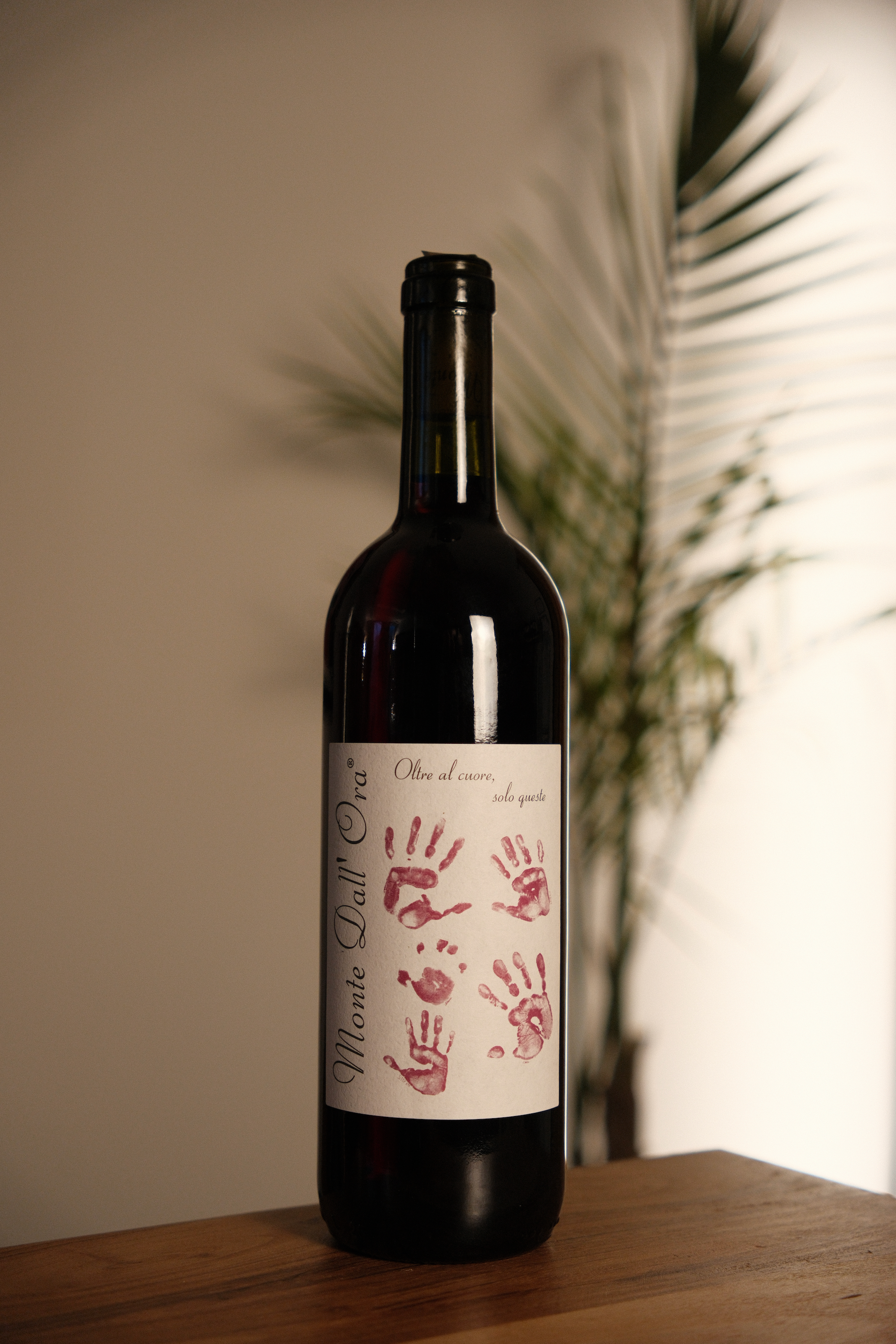 Monte dall'Ora 'Saseti' Valpolicella Classico 2022