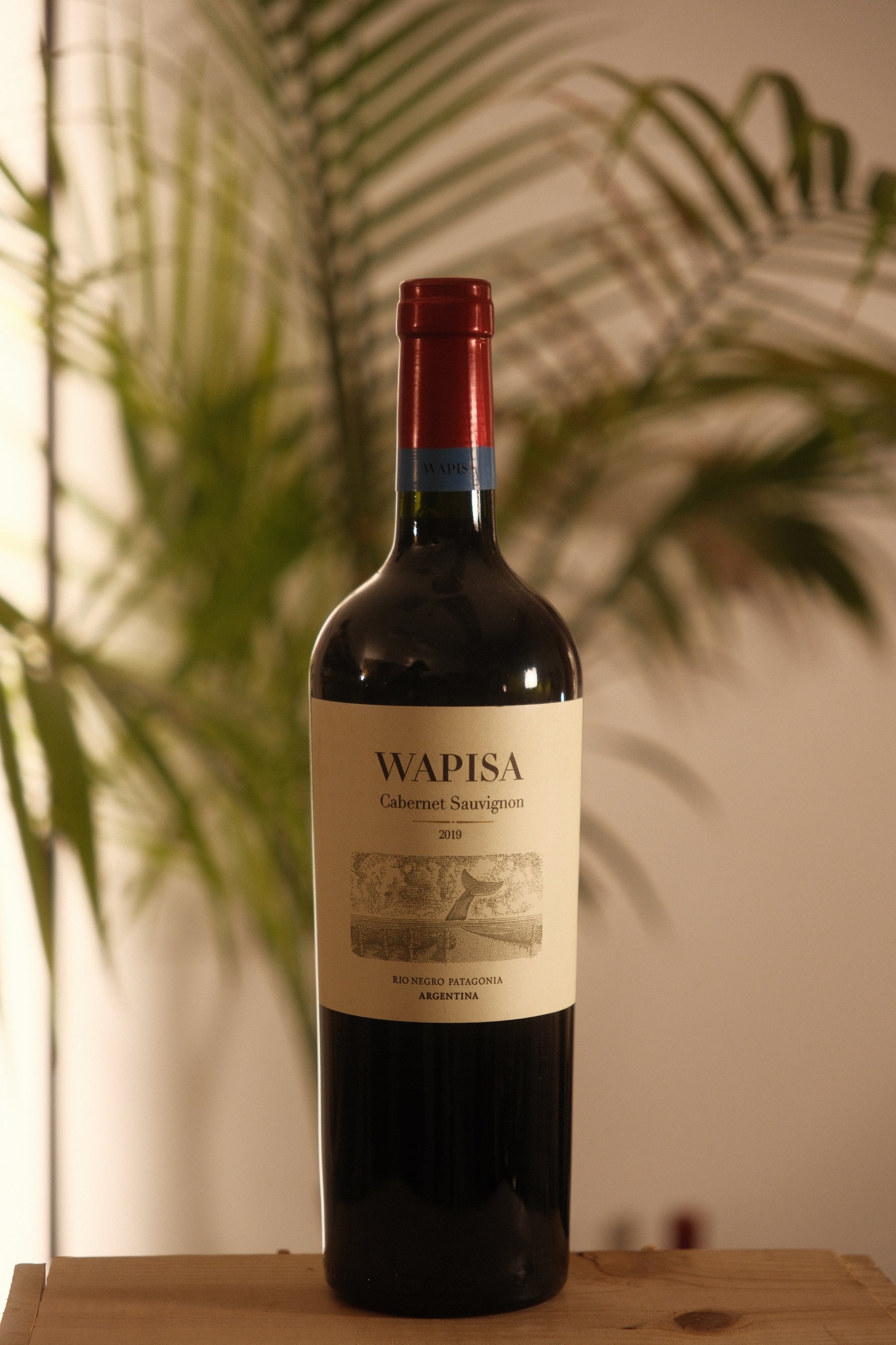 Wapisa Cabernet Sauvignon 2019