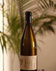 Haarmeyer St. Rey 'SRV' Chenin Blanc 2023